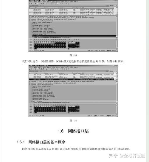 新书速览|windows信息安全和网络攻防